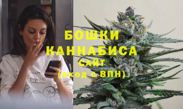 прущие грибы Баксан