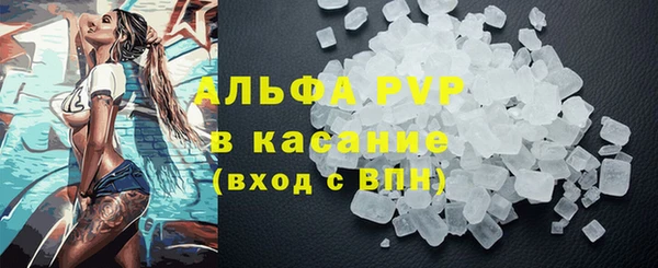 прущие грибы Баксан