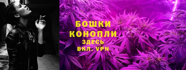 прущие грибы Баксан