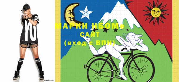 прущие грибы Баксан
