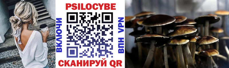Галлюциногенные грибы Cubensis  наркошоп  сайты даркнета Telegram  Кудымкар 
